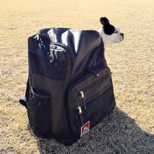 PET CARRY RUCKSACK