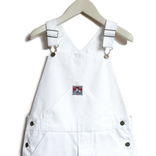 USA PAINTER OVERALL