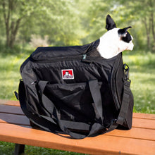 PET CARRY BAG