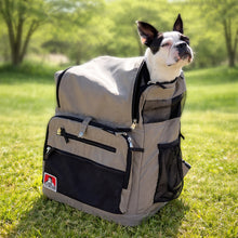 PET CARRY RUCKSACK