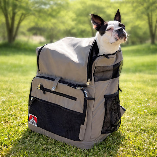 PET CARRY RUCKSACK