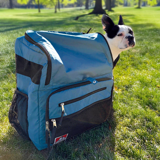 PET CARRY RUCKSACK