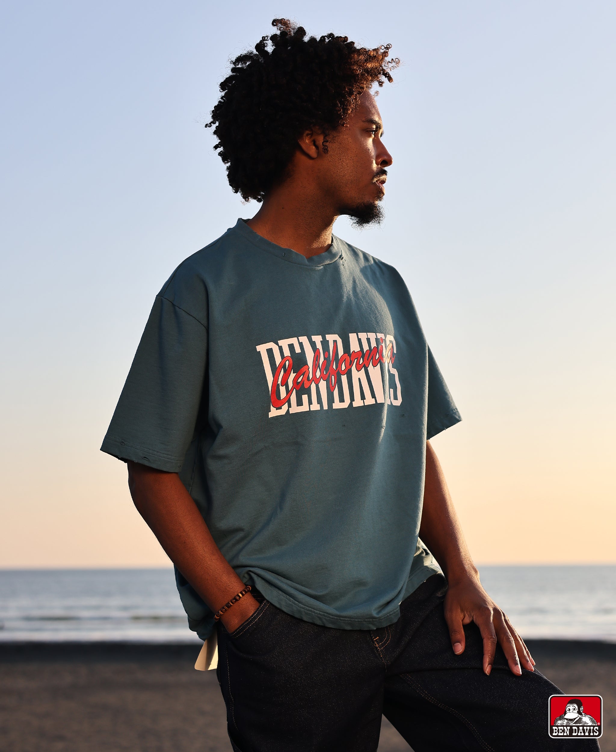 Tシャツ/カットソー – ベンデイビス公式通販サイト